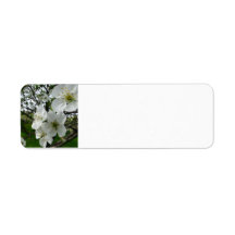Apple Blossom Return Address Label