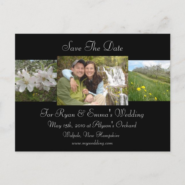 Apple Blossom Save The Date Announcement Postcard (Front)