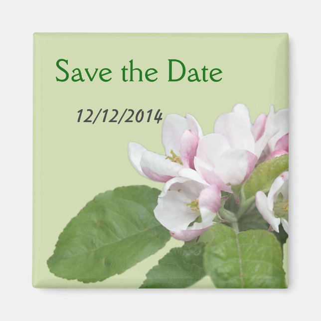 apple blossom save the date magnet (Front)