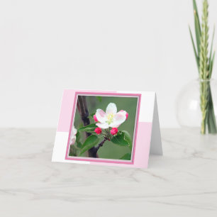 Apple Blossom Spring Note Card