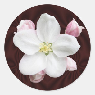 Apple Blossom ~ sticker