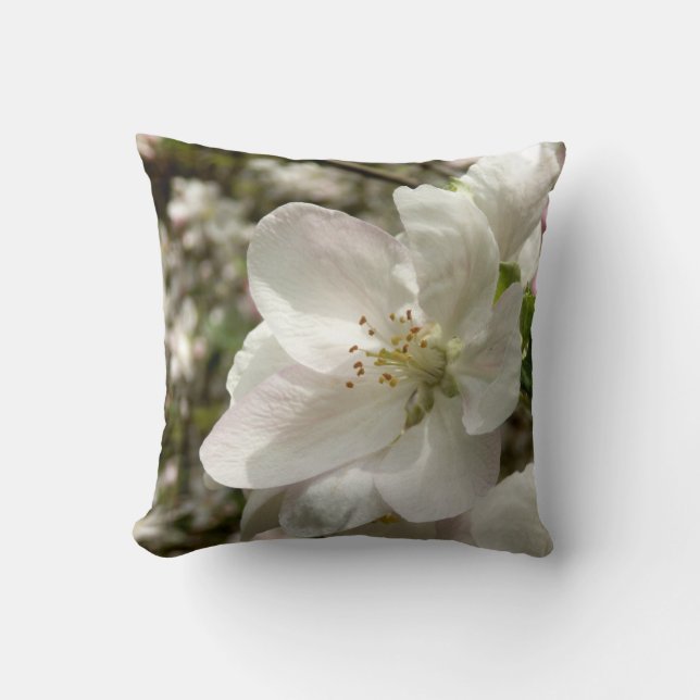Apple Blossom Throw Cushion (Front)