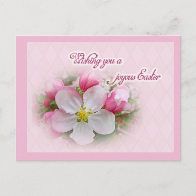 Apple Blossom Time - Joyous Easter Holiday Postcard (Front)