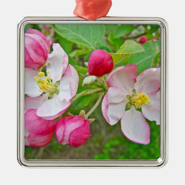 Apple Blossom Time Metal Tree Decoration (Front)