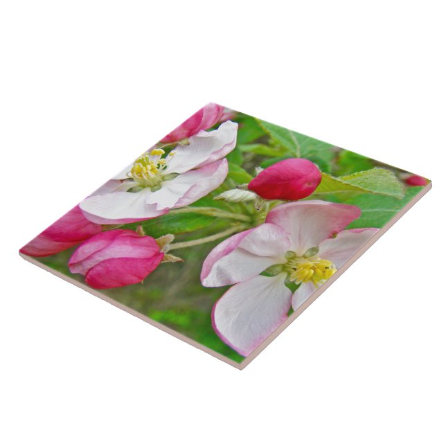 Apple Blossom Time Tile (Side)
