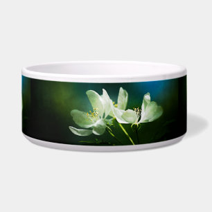 Apple Blossom - Two Flowers