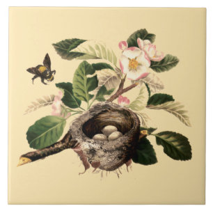 Apple Blossoms and Bird's Nest Ceramic Tile
