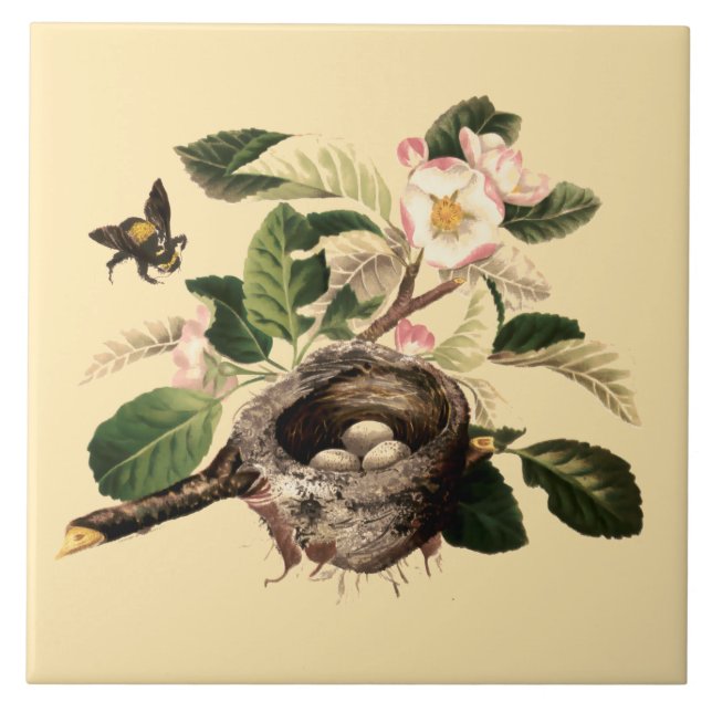 Apple Blossoms and Bird's Nest Ceramic Tile (Front)