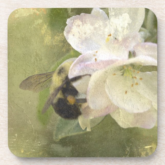 Apple Blossoms and Bumblebee Coaster (Front)