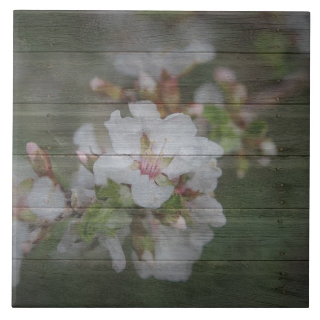 Apple Blossoms and Weathered Wood Ceramic Tile (Front)