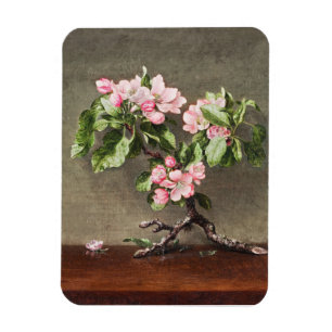 Apple Blossoms by Henri Fantin–Latour Magnet
