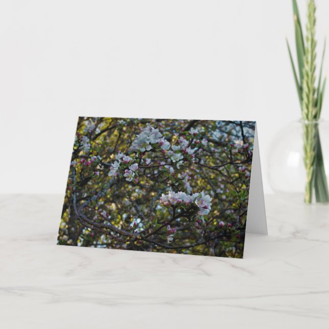 Apple Blossoms Card (Front)