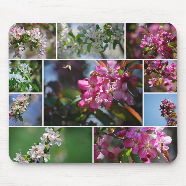 Apple Blossoms Collage Mousepad (Front)