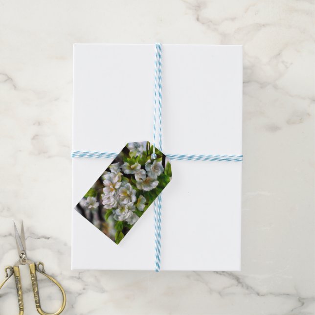 Apple Blossoms Gift Tags (With Twine)