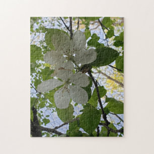apple blossoms jigsaw puzzle