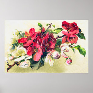Apple Blossoms Poster