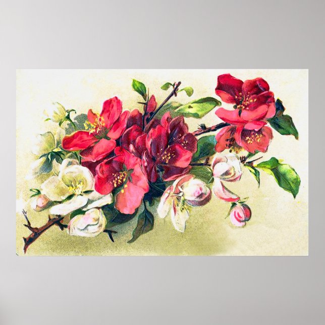 Apple Blossoms Poster (Front)