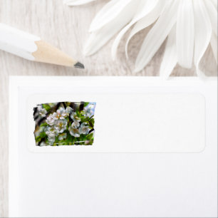 Apple Blossoms Return Address Label