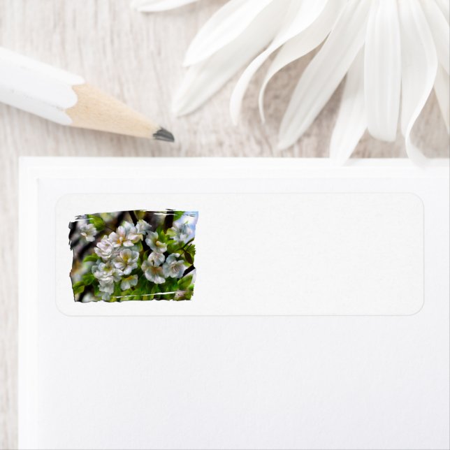 Apple Blossoms Return Address Label (Insitu)