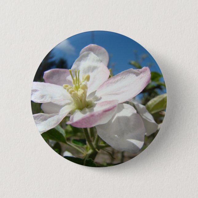 Apple BLOSSOMS Spring Blossom BUTTONS BUTTON Gifts (Front)