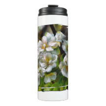 Apple Blossoms