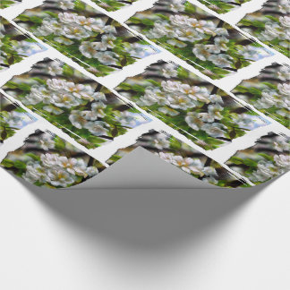 Apple Blossoms Wrapping Paper