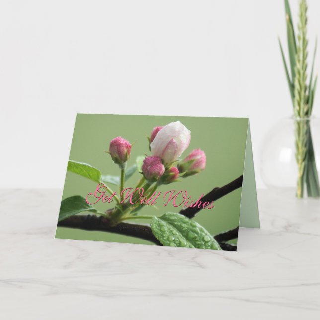 Apple Buds Card- customize any occasion Card (Front)