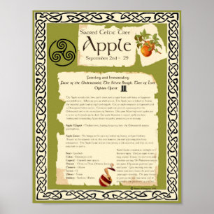 APPLE CELTIC SACRED TREE POSTER