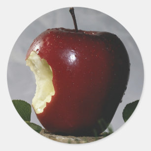 Apple Classic Round Sticker