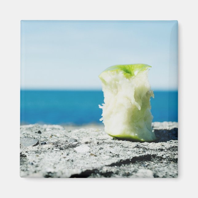 Apple core in the dirt magnet (Front)