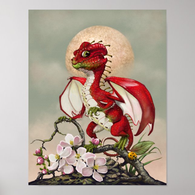 Apple Dragon 11x14 (4x6 and up) Poster (Front)