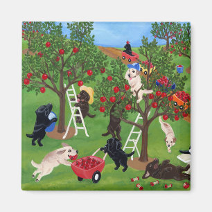 Apple Farm Labradors Magnet