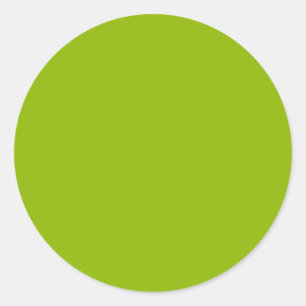 Apple green (solid colour)  classic round sticker