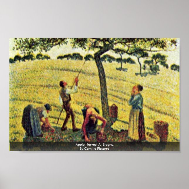 Apple Harvest At Eragny,  By Camille Pissarro Poster (Front)
