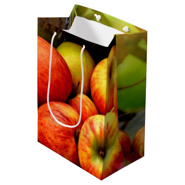Apple Harvest Medium Gift Bag (Front Angled)