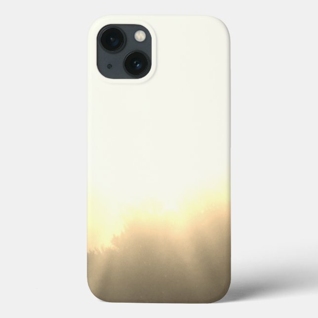 apple iphone 13 case  (Back)