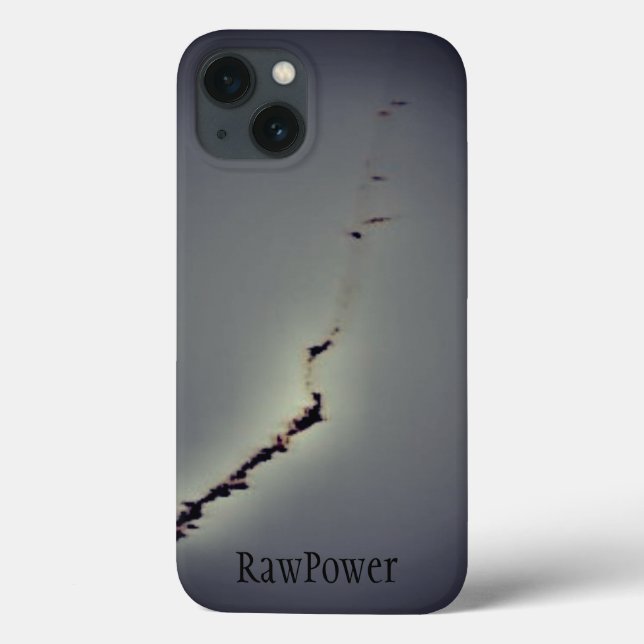 Apple iphone 13 case ART AND DESIGN STYLE  (Back)