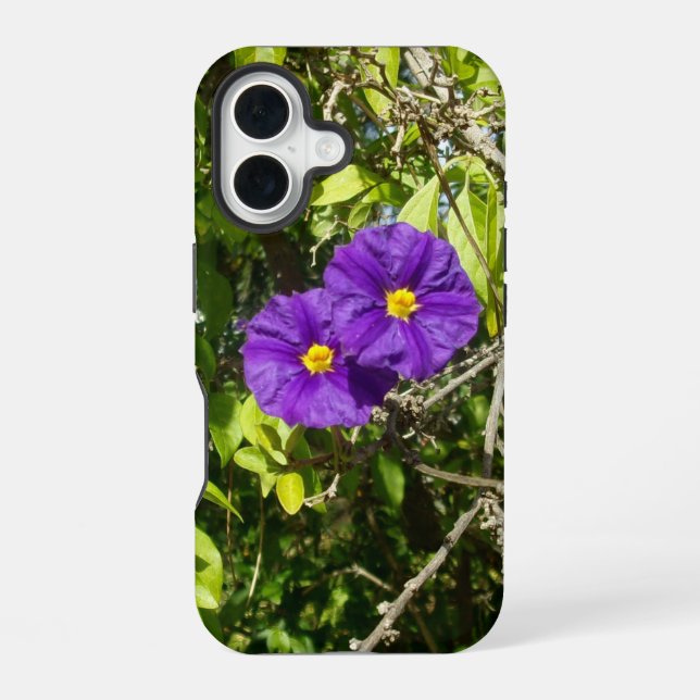 apple iphone 16 case style and design (Back)