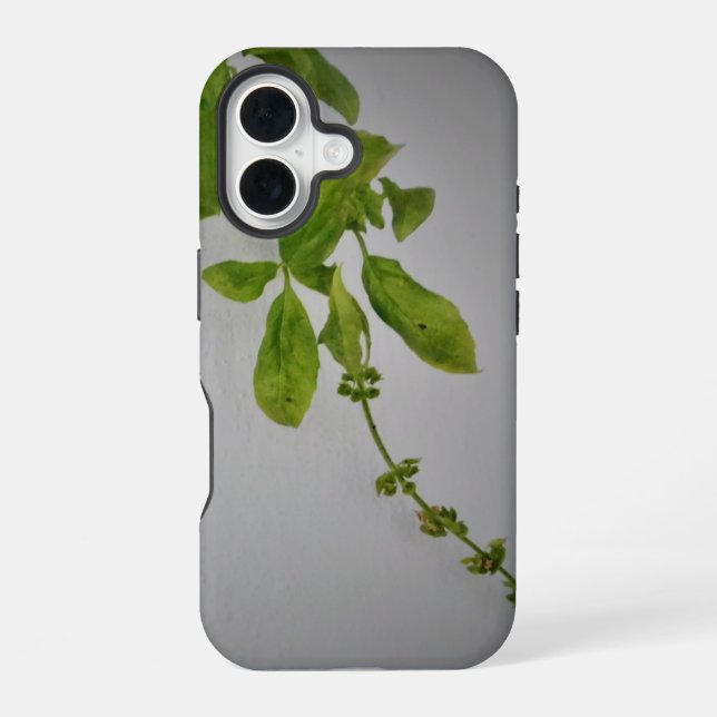 apple iphone 16 case style and design (Back)