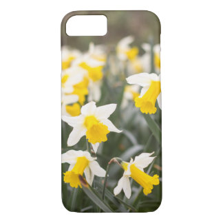 Apple iPhone 7 Daffodil Phone Case