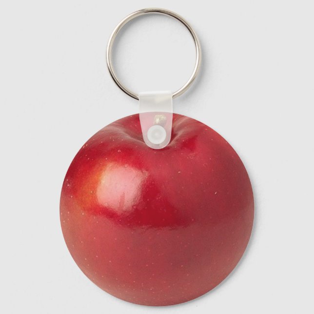 Apple Keychain (Front)