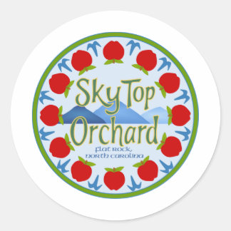Apple Mandala - Blue Classic Round Sticker