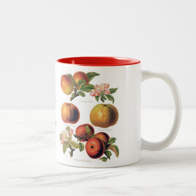 Apple Mug (You can customize) (Right)