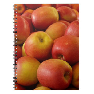 Apple Notebook