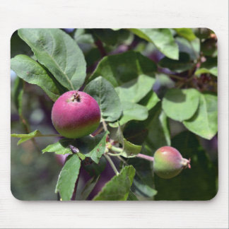 Apple on mouse pad