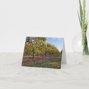 Apple Orchard Card