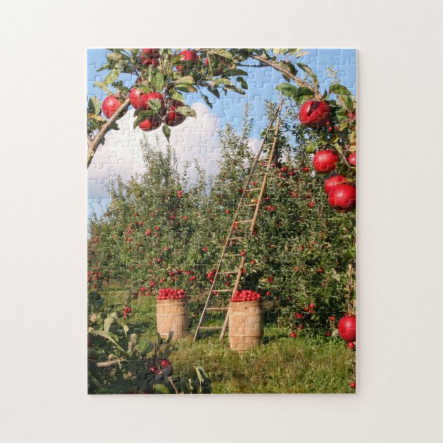 Apple Orchard Jigsaw Puzzle (Vertical)