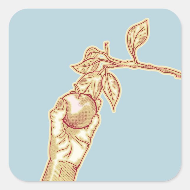 Apple picking harvest square sticker (Front)
