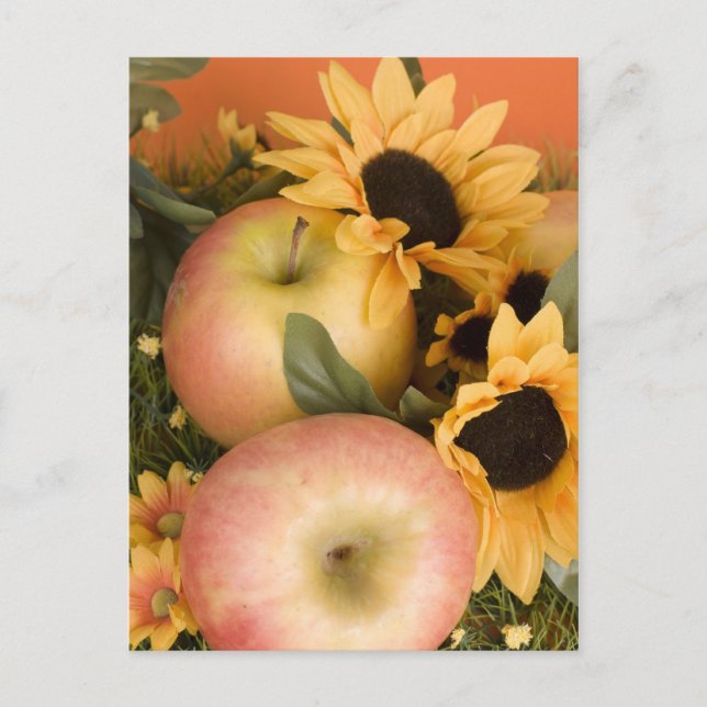 apple postcard (Front)