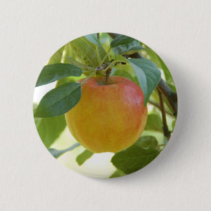 Apple Prima 6 Cm Round Badge